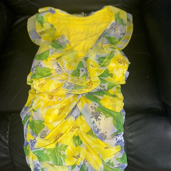 Zara tulle dress. Size : M ( runs one size smaller,fits Small).Unused with tags - Picture 8 of 8